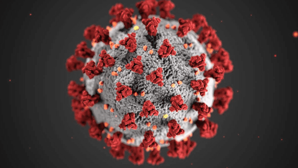 Mpox Outbreak What You Need to Know to Stay Safe!